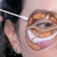 Detailed eyelid anatomy demonstrating the location of the lacrimal gland and surrounding tissues involved in upper blepharoplasty.