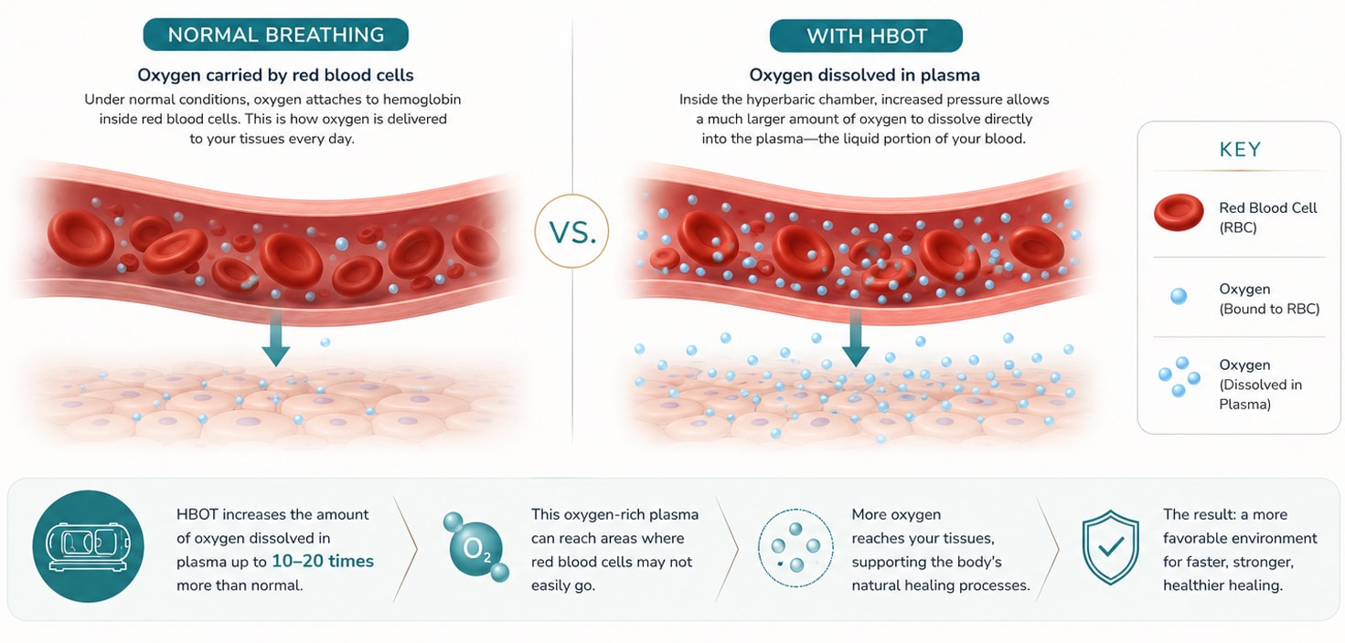 Educational illustration showing how Hyperbaric Oxygen Therapy (HBOT) increases oxygen delivery to healing tissues by adding oxygen to blood plasma, supporting recovery after facial plastic surgery.